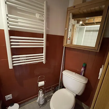 Duplex Hyper Centre 4 Personnes Appartement Le Lioran