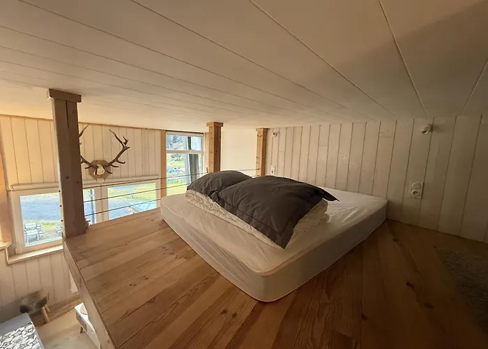 Duplex Hyper Centre 4 Personnes Appartement Le Lioran