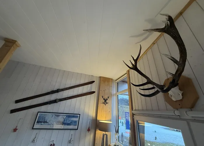 Duplex Hyper Centre 4 Personnes Appartement *