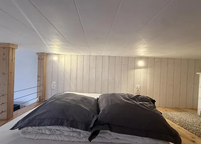 Duplex Hyper Centre 4 Personnes Le Lioran