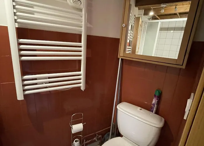 Duplex Hyper Centre 4 Personnes Daire Le Lioran